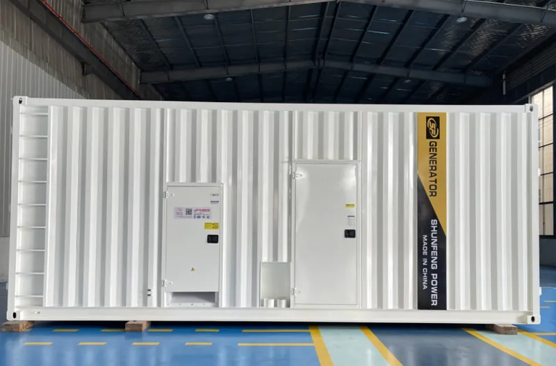 Front view of the custom diesel generator container enclosure