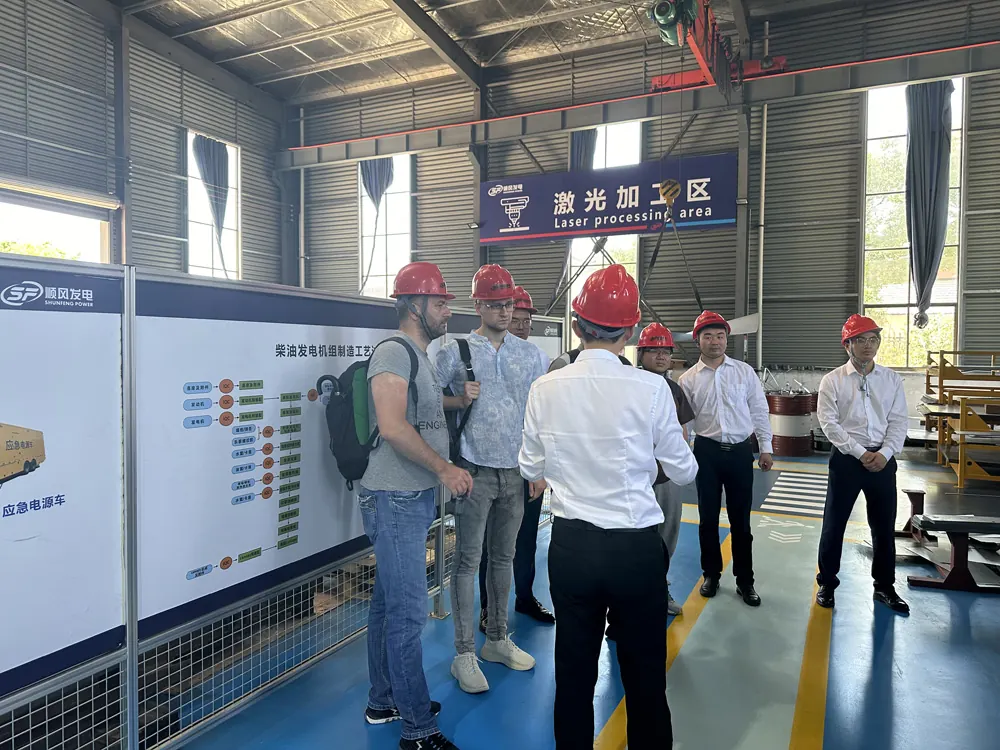 Customer factory tour of GOODWIND laser processing equipment